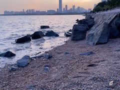 -深圳湾公园(南山区)
