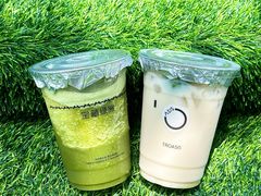 -宝藏绿洲(万象前海店)