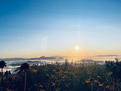 -中旅松花湖滑雪场