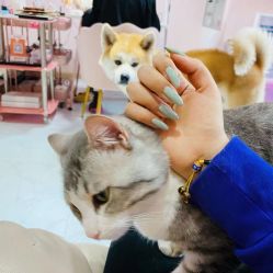 -JX今喜美甲美睫