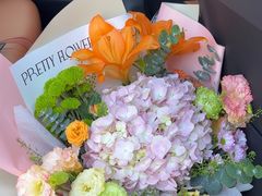 -上海星瀚奔驰4S店(红柳路店)