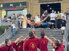 -禅宗少林·音乐大典