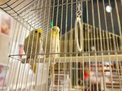 -时光花园(白鹭洲店)