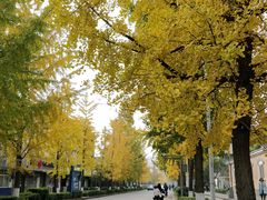 -四川大学(望江校区)