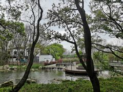 -同里国家湿地公园