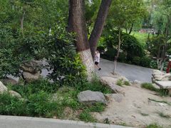 -莲湖公园