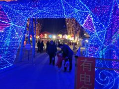 -淄博花灯齐彩城