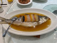 清蒸鲥鱼-金米箩大酒店(五角场店)