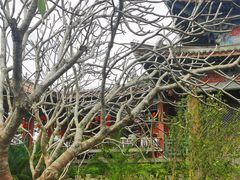 -海南文笔峰盘古文化旅游区