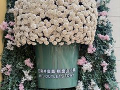 -王府井奥莱棋盘山小镇