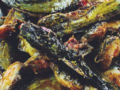 -金海椒罐罐鲢鱼(东方桂苑店)