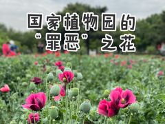 -国家植物园南园