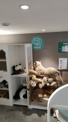 -奈尔宝家庭中心·亲子餐厅(华采天地店)