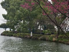 -浙江西子宾馆·瑶园咖啡厅