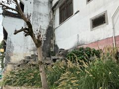 -渔梁坝
