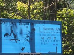 -清迈丛林飞跃 JungleFlight