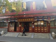 -古陶文明博物馆