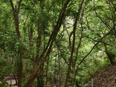 -苍岩山风景名胜区