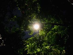 -人民公园(罗湖区)