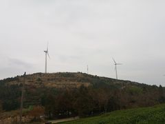 -东白山