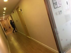 -海豚湾高端月子会所(黄浦店)