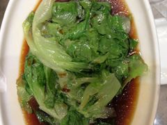-老绍兴养和饭店(向阳不夜城店)