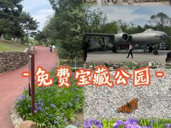 -云岗森林公园