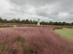 -自然谷恐龙园