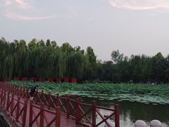-云居湖