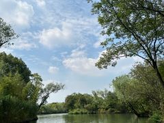 -西溪国家湿地公园