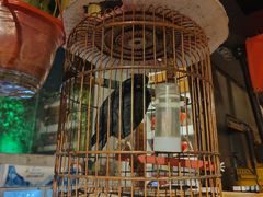 -锦上中式酒馆(南内环店)