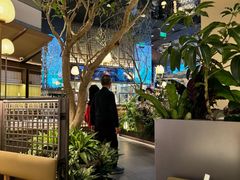 -桂满陇·海市蜃楼·黑金(国金店)