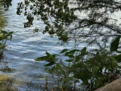 -东湖落雁景区