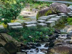 -广州白江湖森林公园