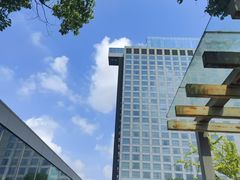 -上海浦东康桥绿地假日酒店