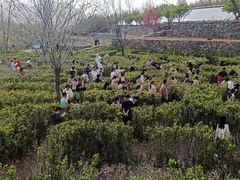 -西部长青自然儿童乐园