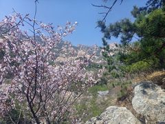 -崂山巨峰游览区