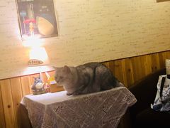 -隅cafe(傅厚岗店)