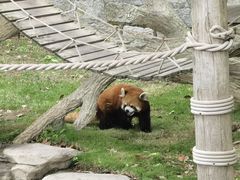 -上海野生动物园