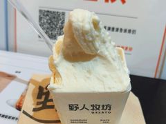 -野人先生现做冰淇淋(北京顺义祥云小镇店)
