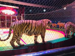 -西安秦岭野生动物园