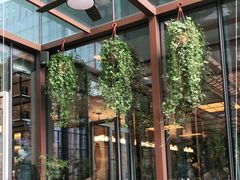 -洋洋中餐馆·SINCE 1997(信投店)