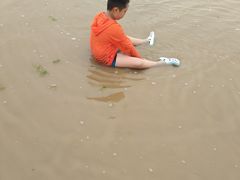 -日照海滨国家森林公园