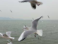 -苏州吴中太湖旅游区