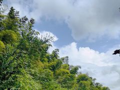 -南山风景名胜区