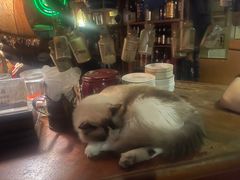 -南京天堂隔壁酒吧