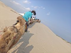 -库伦旗银沙湾旅游景区