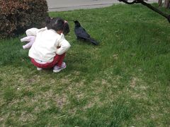 -北海道厅旧本厅舍(旧本庁舎)