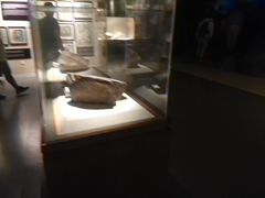 -宁夏博物馆