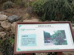 -大连植物园